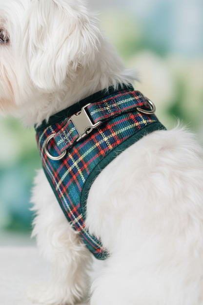 Close-up of colorful plaid harness on small white dog showing buckle detail